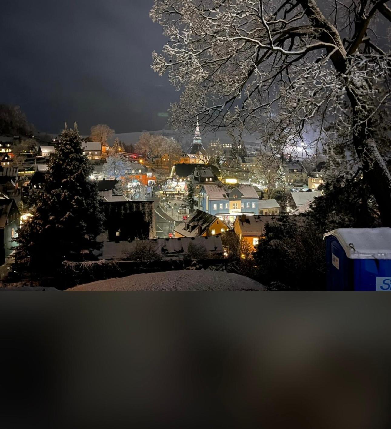 Ferienhaus Erzgebirge "An Der Trebe" Mit Kamin Und Sauna Neuhausen am Rheinfall Dış mekan fotoğraf