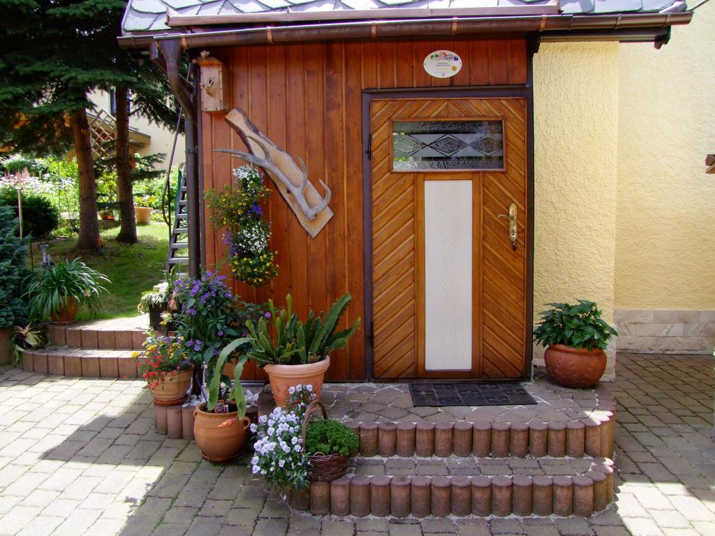 Ferienhaus Erzgebirge "An Der Trebe" Mit Kamin Und Sauna Neuhausen am Rheinfall Oda fotoğraf